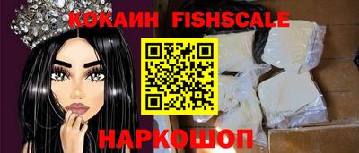 бошки Кингисепп