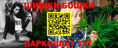 бошки Кингисепп
