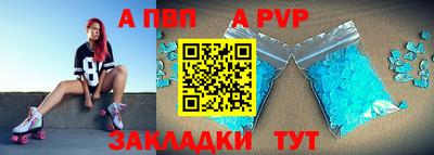 бошки Кингисепп