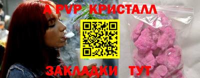 бошки Кингисепп