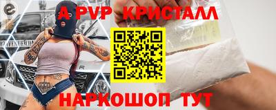 бошки Кингисепп
