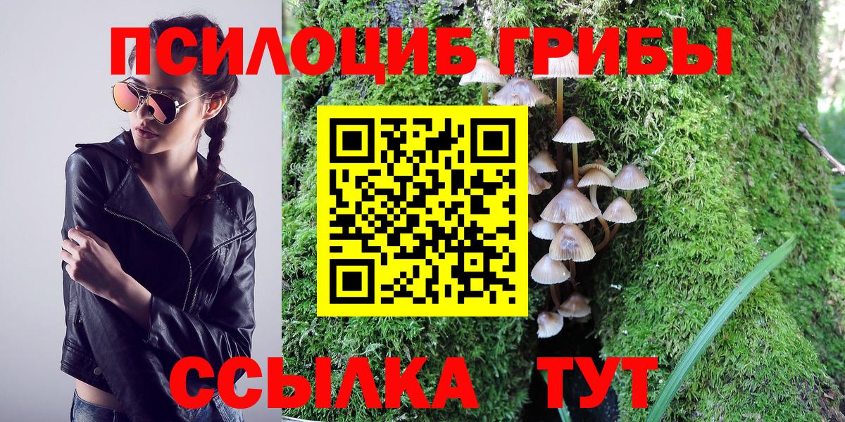 Галлюциногенные грибы мицелий Арсеньев